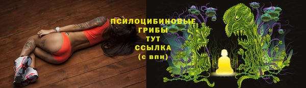 спайс Алзамай