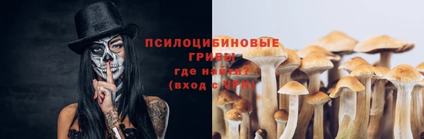 спайс Алзамай