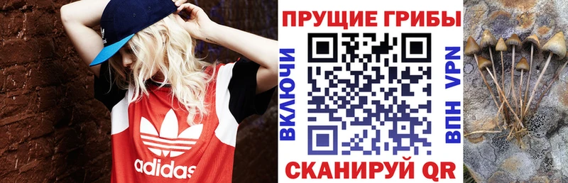 Галлюциногенные грибы мухоморы  Егорьевск 